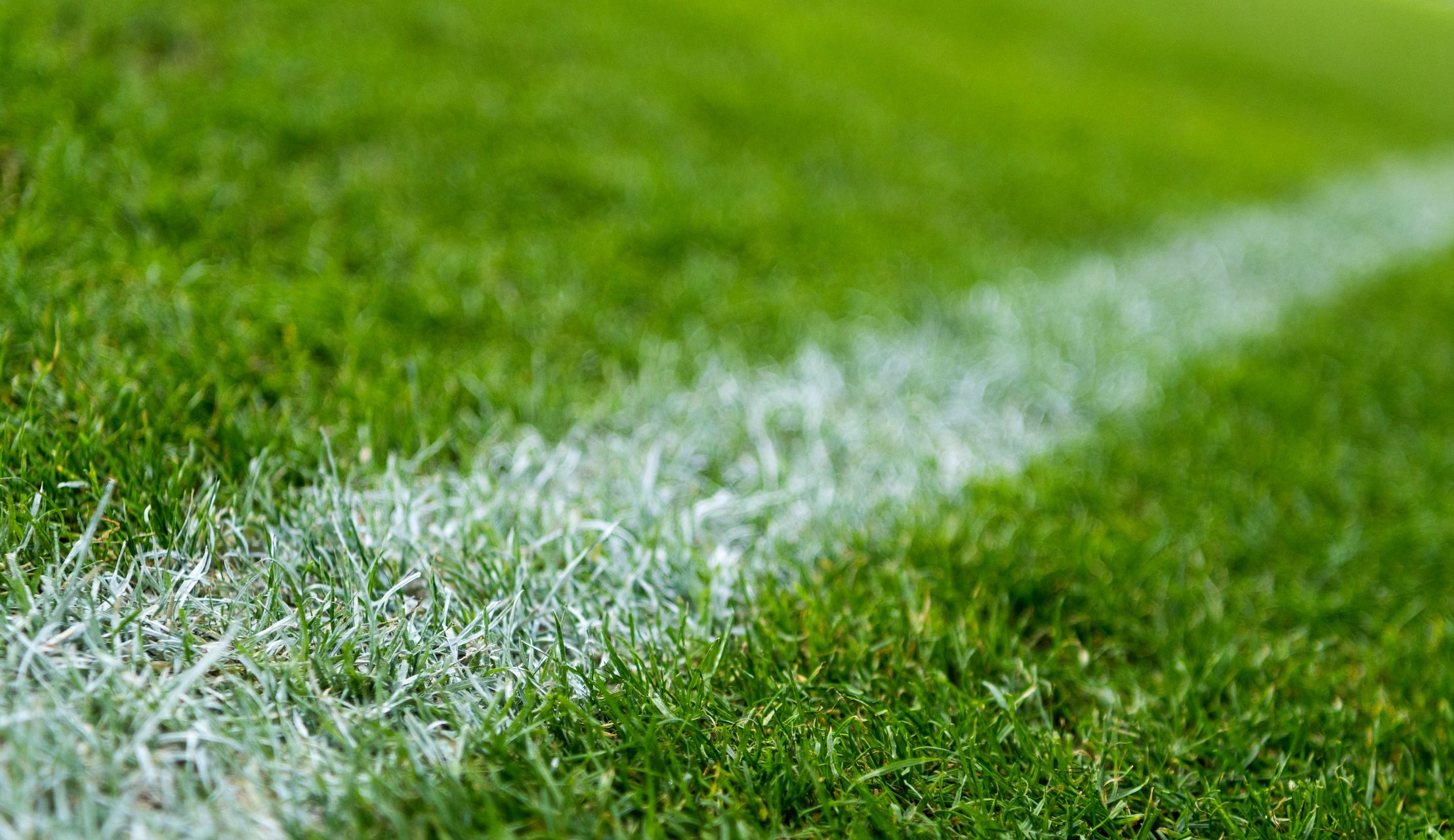 Route naar natuurgras: eerst nog kunstgras, daarna de overstap