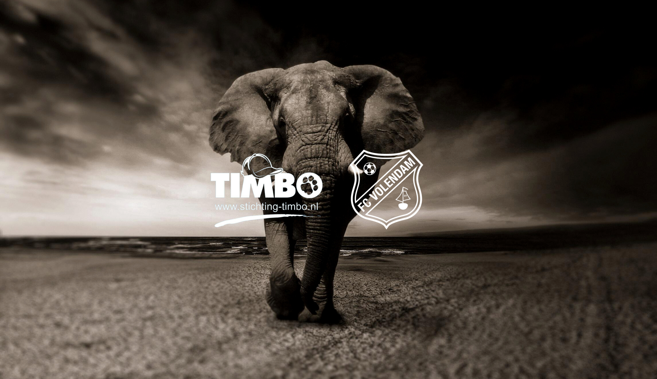 FC Volendam gaat samenwerken met Timbo Afrika Foundation
