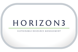 Horizon 3