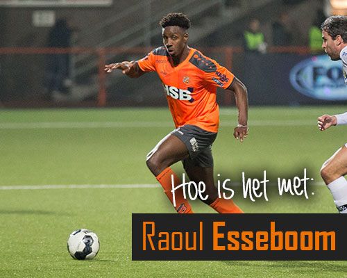 Hoe is het met: Raoul Esseboom?